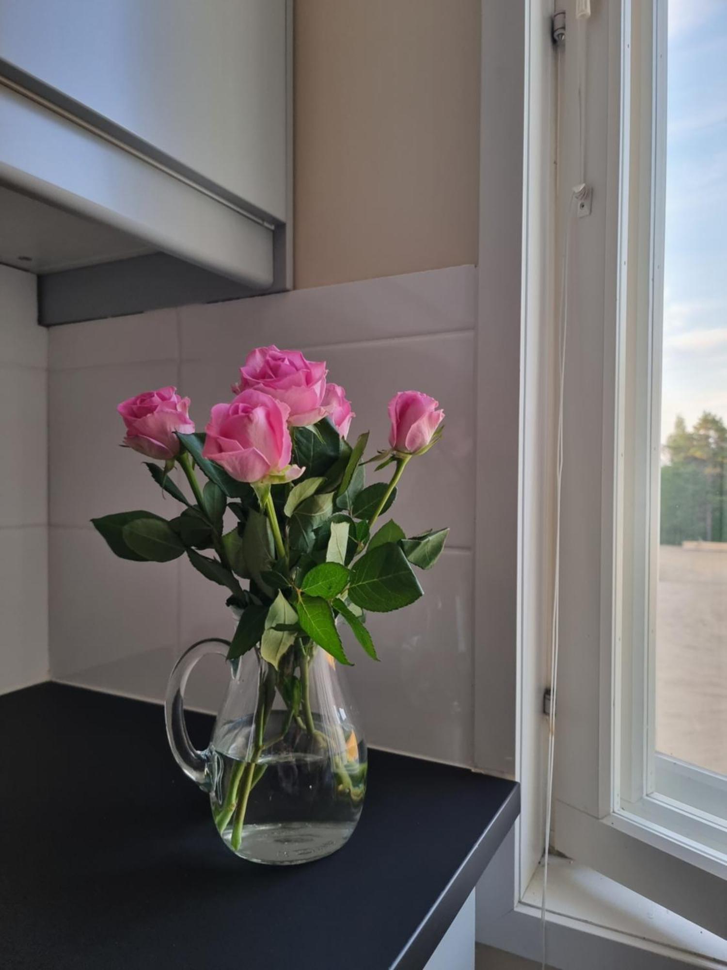 Kuukkeli Ivalo Airport Inn Kültér fotó